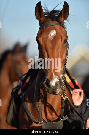 Horse Racing - Lincolnshire Irlandais/Lodge Park Stud Park Express Stakes Jour - Curragh Hippodrome Banque D'Images