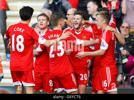 Soccer - Barclays Premier League - Southampton v Newcastle United - St Mary's Banque D'Images