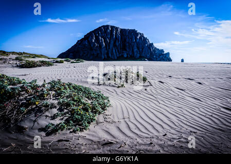 Morro Bay, CA, United States. 08 Juin, 2016. © Hugh Peterswald/Alamy Live News Banque D'Images