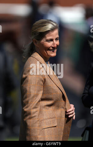 Courses hippiques - 2014 Craven Meeting - Premier jour - Hippodrome de Newmarket.La comtesse de Wessex regarde son cheval en co-propriété Zilber pendant le premier jour de la rencontre Craven 2014 à l'hippodrome de Newmarket, Newmarket. Banque D'Images