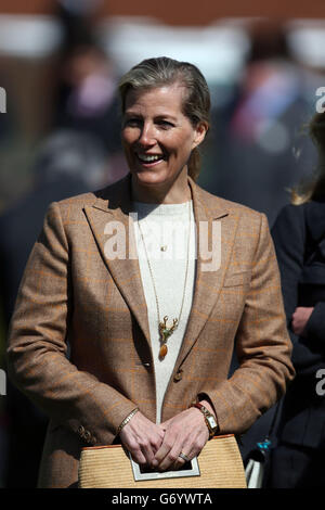 La comtesse de Wessex regarde son cheval en co-propriété Zilber pendant le premier jour de la rencontre Craven 2014 à l'hippodrome de Newmarket, Newmarket. Banque D'Images