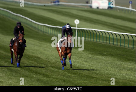 Lucky Kristale (à droite), monté par Tom Queally, est exercé avant le premier jour de la réunion Craven de 2014 à Newmarket Racecourse, Newmarket. Banque D'Images