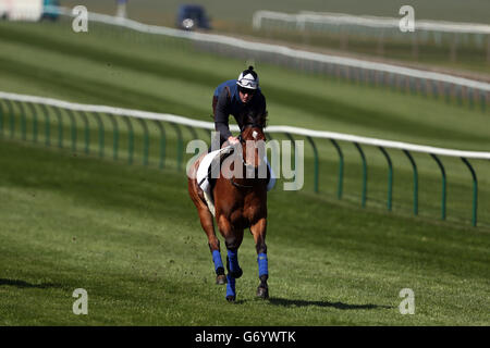 Courses hippiques - 2014 Craven Meeting - Premier jour - Hippodrome de Newmarket.Lucky Kristale, monté par Tom Queally, est exercé avant le premier jour de la réunion Craven de 2014 à l'hippodrome de Newmarket, Newmarket. Banque D'Images