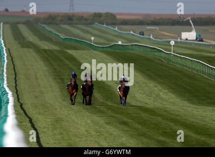 Courses hippiques - 2014 Craven Meeting - Premier jour - Hippodrome de Newmarket.Lucky Kristale (à droite), monté par Tom Queally, est exercé avant le premier jour de la réunion Craven de 2014 à Newmarket Racecourse, Newmarket. Banque D'Images