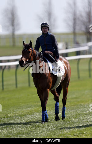 Les courses de chevaux - 2014 - Réunion Craven Jour 1 - Newmarket Racecourse Banque D'Images