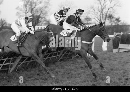 Courses hippiques - Glen International Lady Riders Only handicap - Huntingdon Race course.'Quatrième Tudor' avec Sharron Murgatroyd en haut, (l) dégage la clôture derrière 'Isaac Newton, S. Lawrence en haut, (10) sur le chemin de gagner la course. Banque D'Images