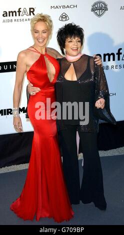 Festival de Cannes 2004 Sharon Stone Banque D'Images