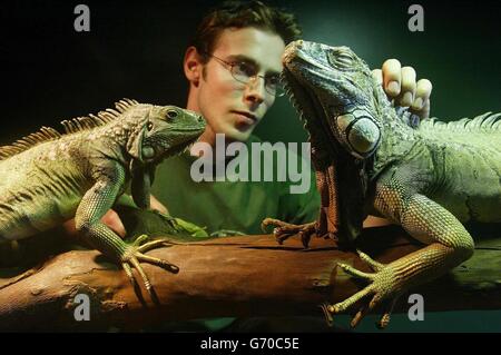 Rapport sur la RSPCA animaux exotiques Banque D'Images