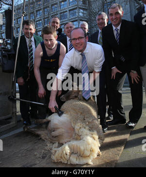 Le ministre de l'Agriculture, de l'alimentation et de la Marine, Simon Coveney, se cisaille lors du lancement du 16e Championnat mondial de tonte et d'élevage de moutons; Laine Handling Championships à Kildare Street Dublin. Banque D'Images