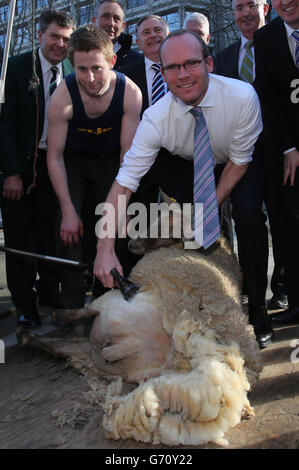 Le ministre de l'Agriculture, de l'alimentation et de la Marine, Simon Coveney, a lancé le 16e Championnat mondial de tonte de mouton et de manutention de laine à Kildare Street Dublin. Banque D'Images