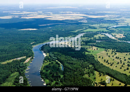 Elbe, entre Rosslau et Vockerode, Werder, Alte Elbe, Saxe-Anhalt, Allemagne Banque D'Images