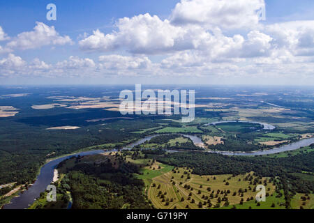 Elbe, entre Rosslau et Vockerode, Werder, Alte Elbe, Saxe-Anhalt, Allemagne Banque D'Images