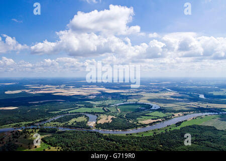 Elbe, entre Rosslau et Vockerode, Werder, Alte Elbe, Saxe-Anhalt, Allemagne Banque D'Images