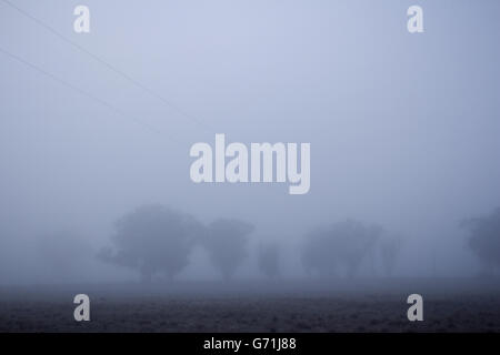 Tôt le matin, promenade dans la campagne le long de ligne de clôture dans le brouillard et le gel. La visibilité faible.