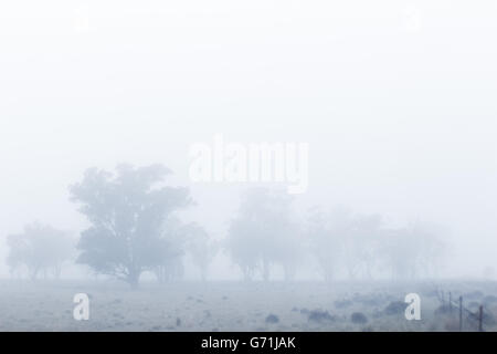 Tôt le matin, promenade dans la campagne le long de ligne de clôture dans le brouillard et le gel. Faible visibilité