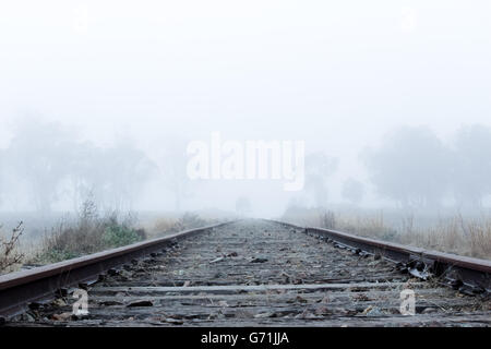 Tôt le matin, promenade dans la campagne le long des lignes de chemin de fer dans le brouillard et le gel. Faible visibilité