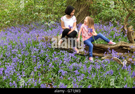 Catalina (à gauche), 9 ans, et Kadie, 5 ans, Lane jouent parmi les cloches à Witton Country Park, Blackburn, Lancashire. Banque D'Images