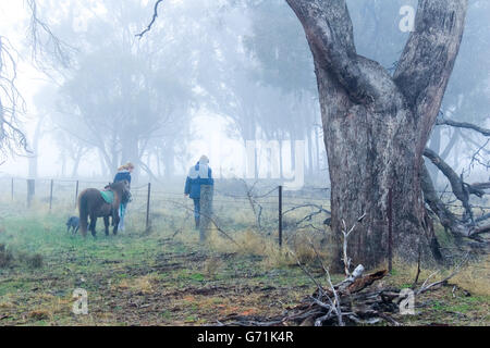Tôt le matin, promenade dans la campagne avec le chien et le cheval dans le brouillard et le gel. Faible visibilité Banque D'Images