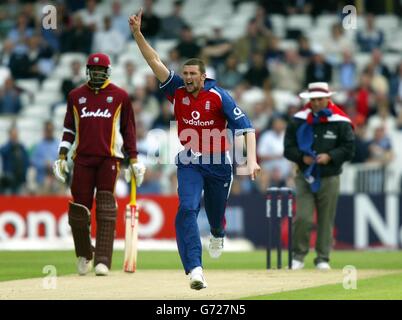 Steve Harmison, de l'Angleterre, célèbre le fait de réclamer le cricket des Antilles Shivnarine Chanderpaul lors de la série NatWest d'un jour international à Headingley, Leeds. Banque D'Images