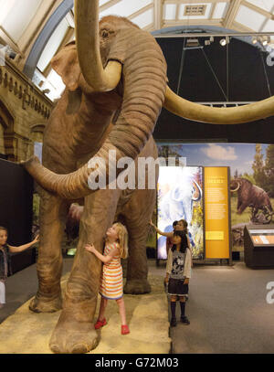 Les enfants regardent un Mammoth colombien dans l'exposition Mammoths: ICE Age Giants au Musée national d'histoire dans le centre de Londres. Banque D'Images