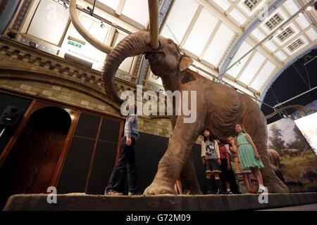 Les enfants regardent un Mammoth colombien dans l'exposition Mammoths: ICE Age Giants au Musée national d'histoire dans le centre de Londres. Banque D'Images