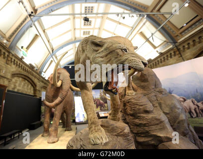 Les Mammoths : exposition des Giants de l'âge de la glace au Musée national d'histoire dans le centre de Londres. Banque D'Images