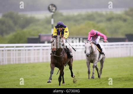 Les courses de chevaux - Mai Festival 2014 - Jour 1 - Goodwood Racecourse Banque D'Images