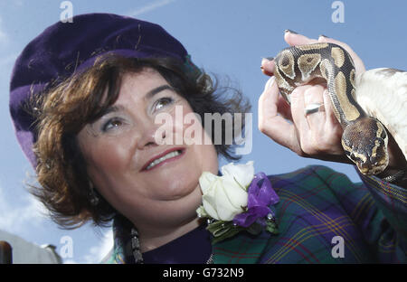 Chieftain des championnats britanniques de la bande de pipe Susan Boyle coups Monty le python aux Jeux West Lothian Highland et British Pipe Band Championships à Meadow Park, Bathgate. Banque D'Images