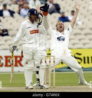 Frizzell CRICKET County Championship Banque D'Images