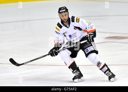 Hockey sur glace - Rapid Solicitors Elite Ice Hockey League - 2014 Play offs - final - Belfast Giants / Sheffield Steelers - capita. Danny Meyers, Sheffield Steelers Banque D'Images