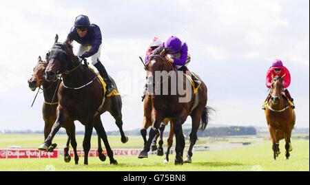 Les courses de chevaux - Dubai Duty Free Derby irlandais - Jour deux - Curragh Hippodrome Banque D'Images