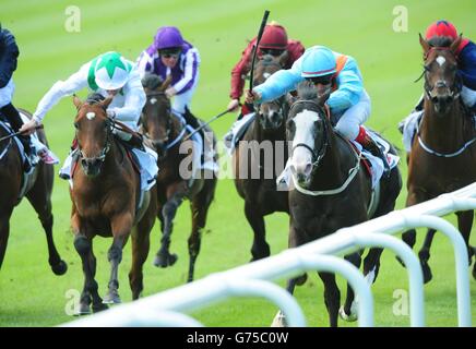 Les courses de chevaux - Dubai Duty Free Derby irlandais - Jour deux - Curragh Hippodrome Banque D'Images