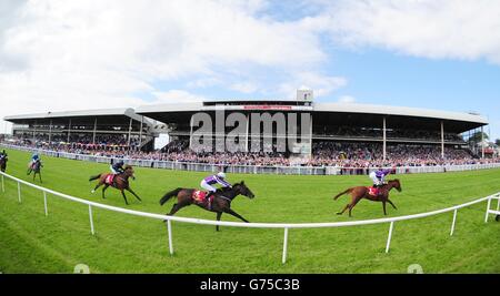 Les courses de chevaux - Dubai Duty Free Derby irlandais - Jour deux - Curragh Hippodrome Banque D'Images