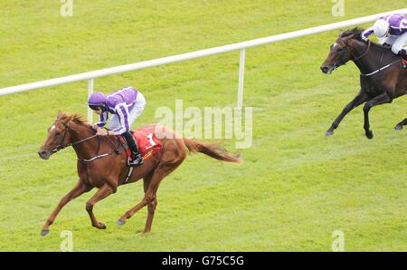 Les courses de chevaux - Dubai Duty Free Derby irlandais - Jour deux - Curragh Hippodrome Banque D'Images