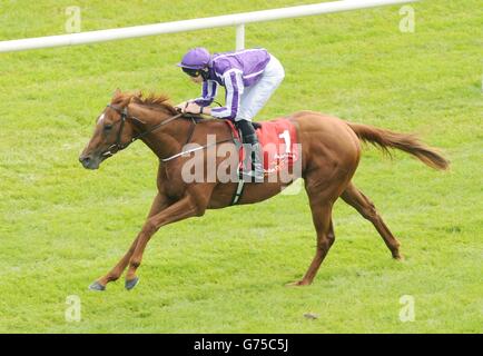 Les courses de chevaux - Dubai Duty Free Derby irlandais - Jour deux - Curragh Hippodrome Banque D'Images