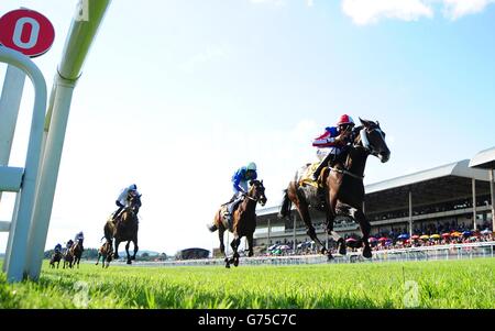 Les courses de chevaux - Dubai Duty Free Derby irlandais - Jour deux - Curragh Hippodrome Banque D'Images