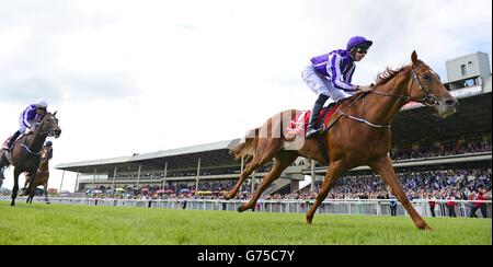 Les courses de chevaux - Dubai Duty Free Derby irlandais - Jour deux - Curragh Hippodrome Banque D'Images