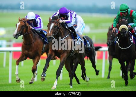 Les courses de chevaux - Dubai Duty Free Derby irlandais Festival - Jour 1 - Curragh Hippodrome Banque D'Images