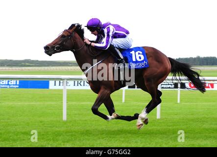 Les courses de chevaux - Dubai Duty Free Derby irlandais Festival - Jour 1 - Curragh Hippodrome Banque D'Images