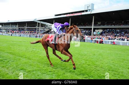 Les courses de chevaux - Dubai Duty Free Derby irlandais - Jour deux - Curragh Hippodrome Banque D'Images