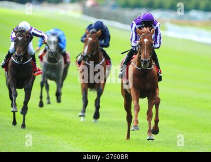 Les courses de chevaux - Dubai Duty Free Derby irlandais - Jour deux - Curragh Hippodrome Banque D'Images