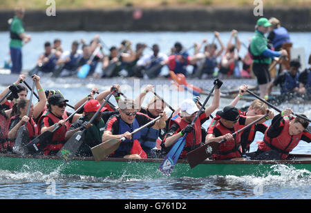 Cette année, les concurrents participent au London Hong Kong Boat Festival, qui accueille quatre trophées sur Royal Albert Dock, dans l'est de Londres. Banque D'Images