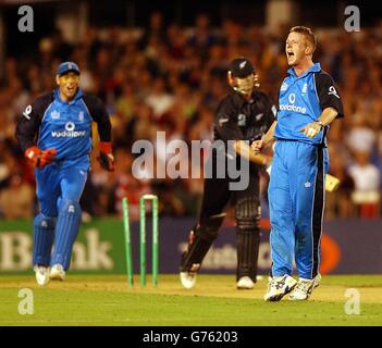 Paul Collingwood (à droite), en Angleterre, célèbre après avoir pris le cricket de Chris Cairns (au centre), en Nouvelle-Zélande, lors du quatrième international d'une journée à l'Eden Park d'Auckland. L'Angleterre a remporté le match par 33 courses pour égaler la série 2-2 avec un match restant à jouer. Banque D'Images