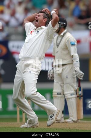 Andrew Caddick, de l'Angleterre, célèbre son 200e test de cricket après que Craig McMillan (à droite) de Nouvelle-Zélande ait piégé lbw pour 41 courses au cours du premier jour du troisième et dernier test match contre la Nouvelle-Zélande, à Eden Park, Auckland. Banque D'Images