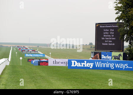 Courses hippiques - Festival de juillet - Darley July Cup Day - Hippodrome de Newmarket. Darley Branding à Newmarket Racecourse Banque D'Images