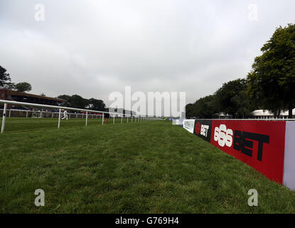 Courses hippiques - Festival de juillet - Darley July Cup Day - Hippodrome de Newmarket. 666Bet Branding à Newmarket Racecourse Banque D'Images