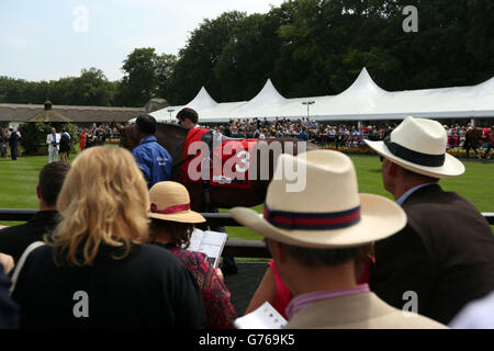 Les Racegoers regardent les chevaux dans l'anneau de parade sur Darley Le jour de la coupe de juillet à l'hippodrome de Newmarket Banque D'Images