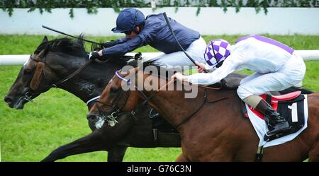 Les courses de chevaux - Dubai Duty Free Derby irlandais - Jour trois - Curragh Hippodrome Banque D'Images