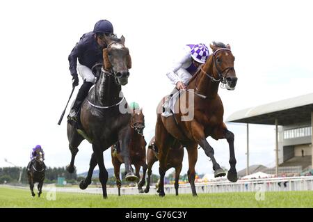 Les courses de chevaux - Dubai Duty Free Derby irlandais - Jour trois - Curragh Hippodrome Banque D'Images