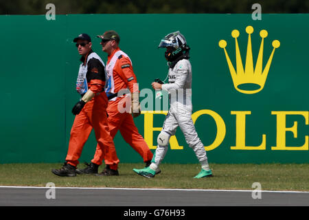 Motor Racing - Championnat du Monde de Formule 1 - Grand Prix de Grande-Bretagne 2014 - Race - Circuit de Silverstone Banque D'Images